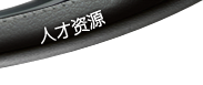 人才资源